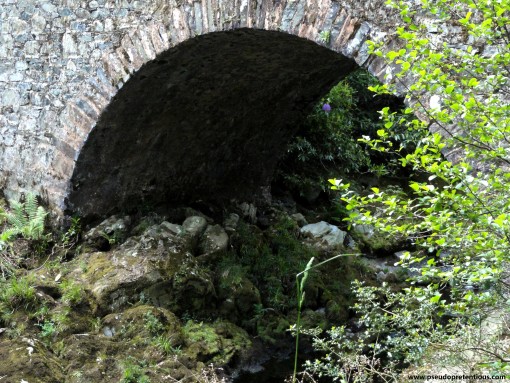 A close-up of the arch of Parnell's Bridge